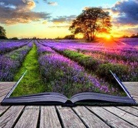 Originally shared in google+ Jolanta Rojek