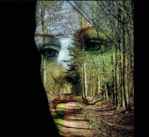 Originally shared in google+ Emanuela Quartaroli