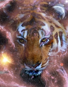 F - A - 1 - 1 - tiger_nebula_stripe_by_gogi5575-d37cf5l